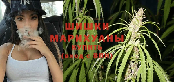 ГАЛЛЮЦИНОГЕННЫЕ ГРИБЫ Балахна