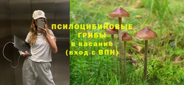 спиды Сосновоборск