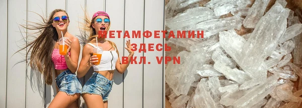 прущие грибы Баксан